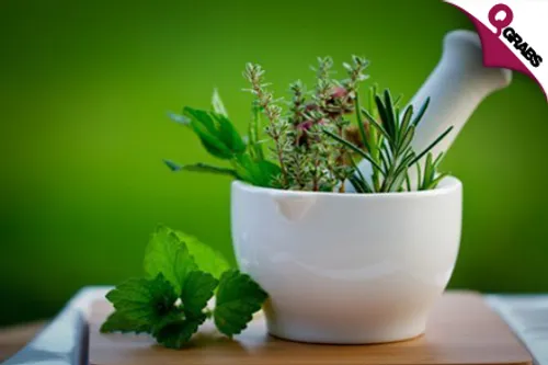 For QR49 Stay Fit with a Medicinal Herbs Diploma Online Course! (QR919 Value)
